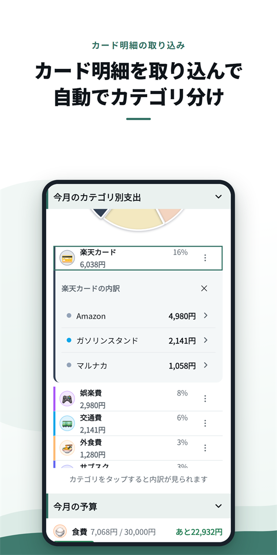 カードの利用明細を取り込んだ画面